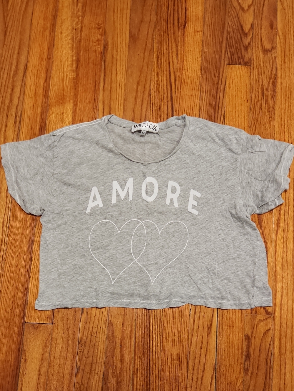 Wildfox Mixed Graphic Tee Bundle - Gray, Blue, White, Peach, Charcoal - Picture 4 of 6